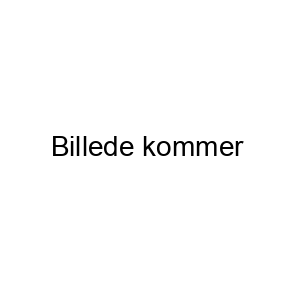 Medlemsskab af ICT Danmark