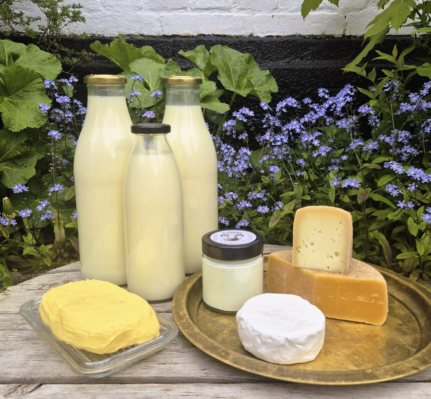 MIXED pakke (uden abonnement)