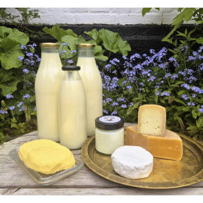 MIXED pakke (uden abonnement)