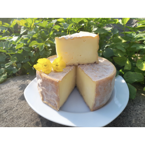 Tomme Danois (f�resk�reost)